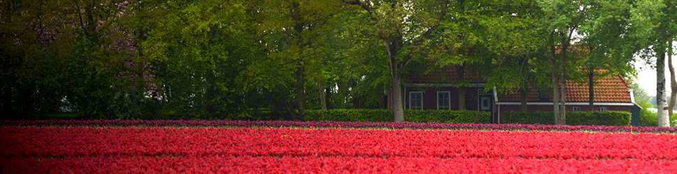header images